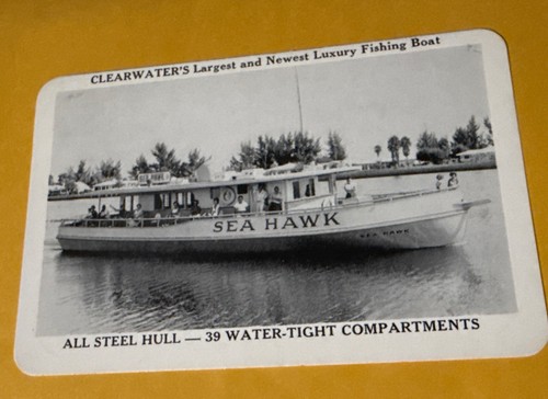 Sea hawk deep - deep, boat