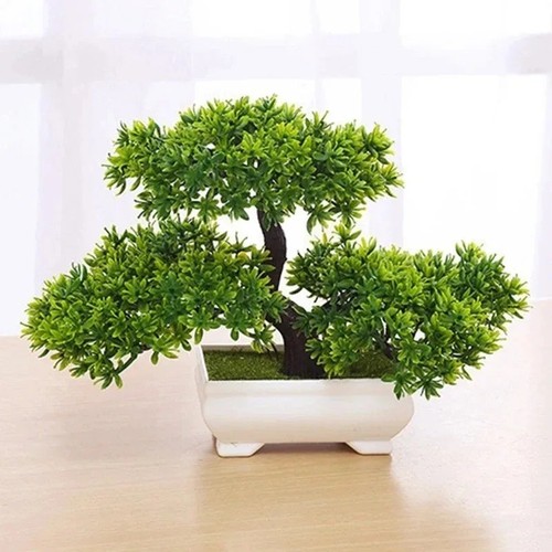 Artificial bonsai pine - bonsai, tree