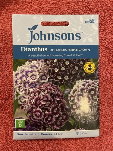 Johnson dianthus hollanda - johnson’s,