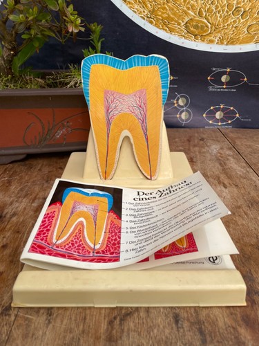 Vintage colgate advertising - vintage,
