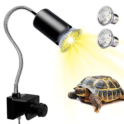 Tortoise heat lamp uva - heat, lamp,