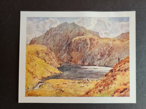 Antique 1908 print - , angle