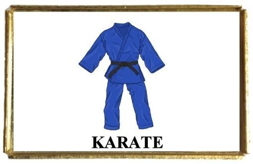 Karate sport gold colour - sport,