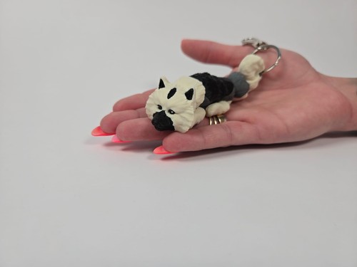 Printed keeshond flexi - 3d,