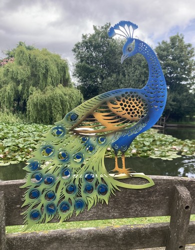 Coloured metal peacock fence - coloured,