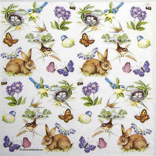 Single paper napkins for - napkins,