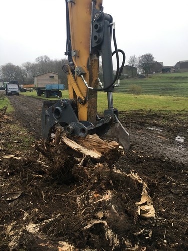 Ton excavator tree stump - tree,
