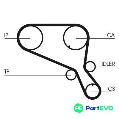 Continental ctam timing belt - ctam,