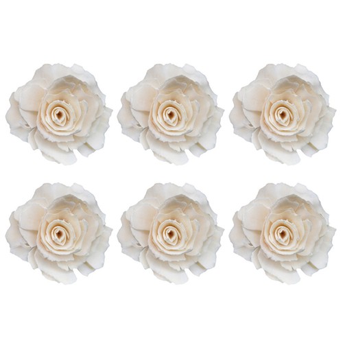 6pcs diffusers natural - diffusers,