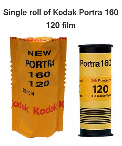 Kodak portra 160 120 film - kodak,