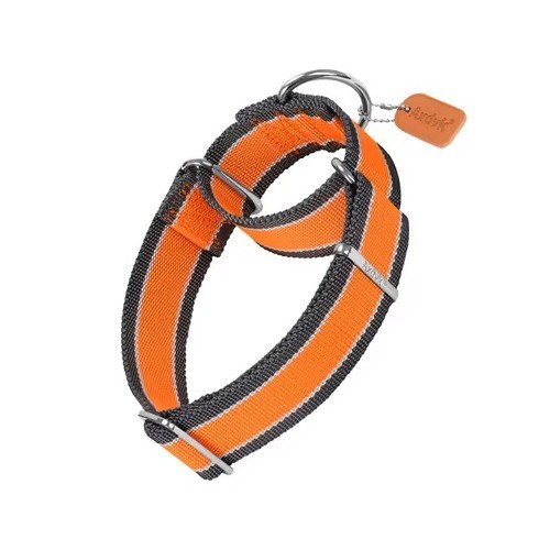 Martingale med dog collar - collar, 4cm