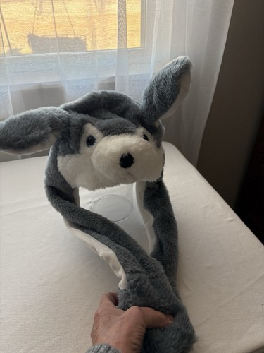 Bunny rabbit coyote moving - coyote,