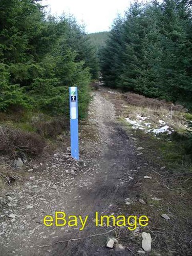 Photo 6x4 mountain - mountain, bike