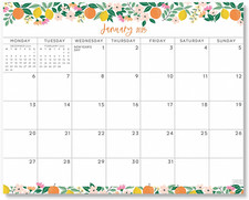 S&O Fruity Magnetic Fridge Calendar from January 2025-June 2026 - Tear-Off Refri