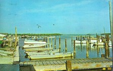 Vintage Postcard, Commercial