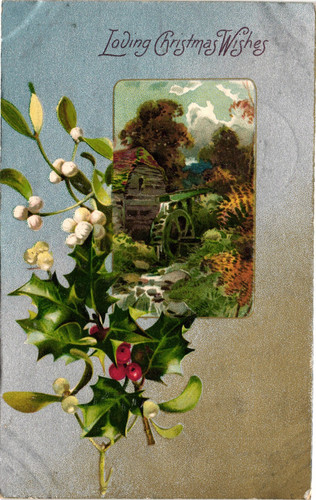 1907 christmas holly private - holly,