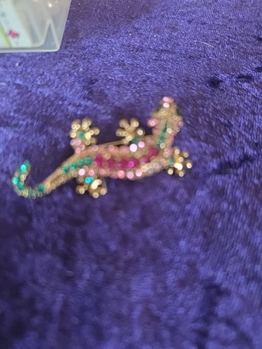 Crystal lizard broach - broach, (drw2)