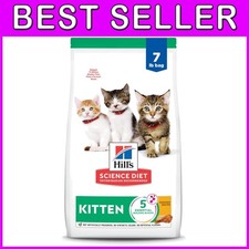 Kitten Food for Healthy