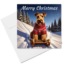 Welsh Terrier on Sled