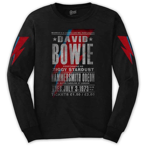 David bowie hammersmith - david,