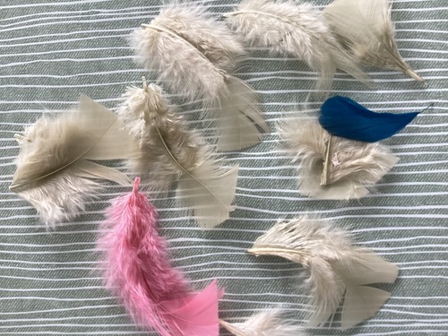 Natural bird feathers - 10,