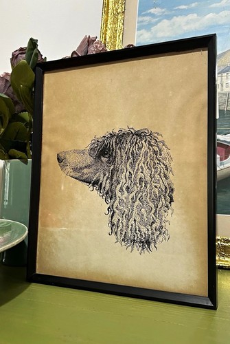 Vintage hand drawn - vintage, sketch