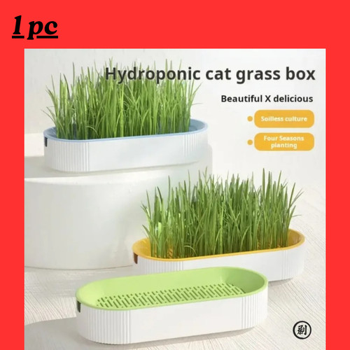 Cat grass growing kit - cat,
