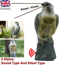 Garden Yard Realistic Bird