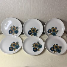 Biltons 6 Dinner Plates Retro