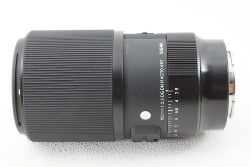 Sigma 105mm dn - sigma, macro
