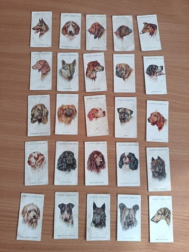 Vintage cigarette cards - 25,