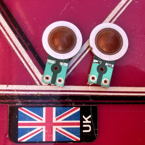 Tweeter diaphragm - tweeter, x2