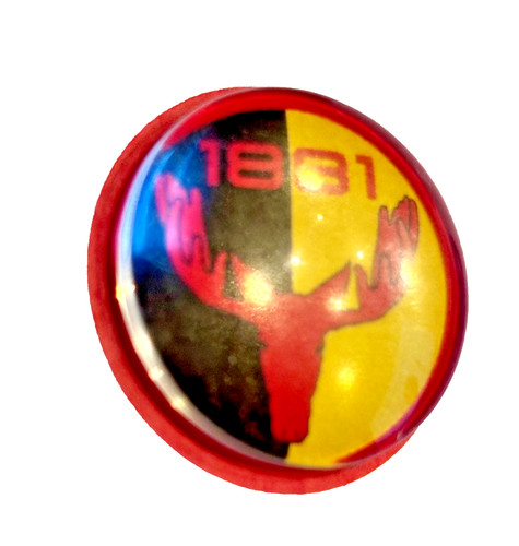 Watford badge pins - badge,
