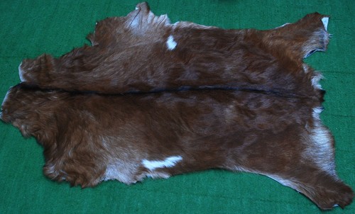New goat hide rug hair - goat,