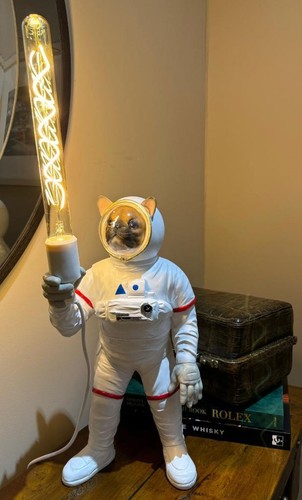 French bulldog spaceman - spaceman, fawn