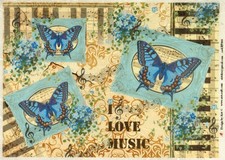 Blue Butterfly Music A4 Rice