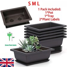 Plastic bonsai training - bonsai,