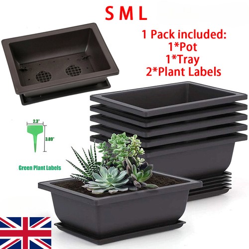 Plastic bonsai training - bonsai,