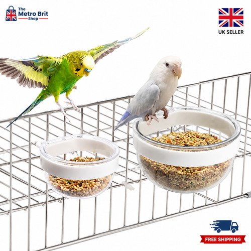 Replacement wild bird water - wild,