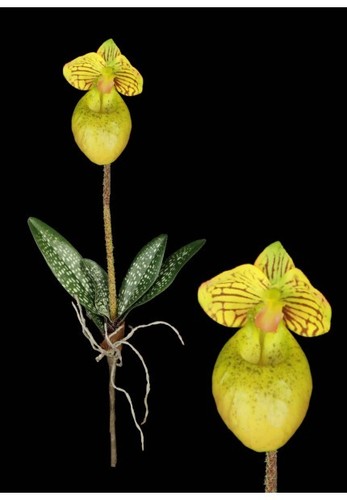 Mini artificial paphiopedilum - mini,