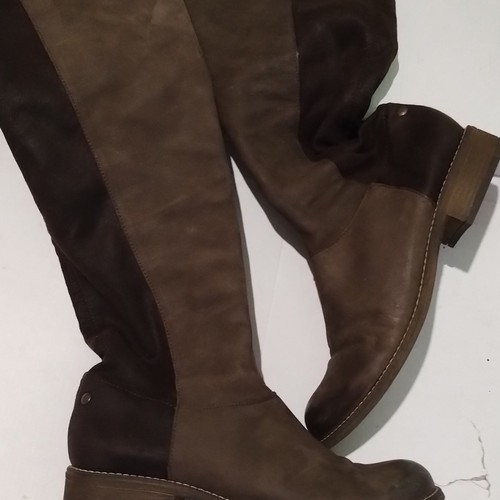 Steve madden women - steve, women’s