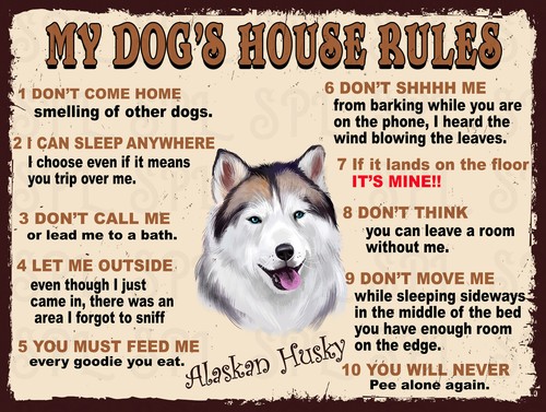 Dog house rules - house,