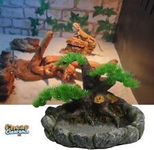 Unique  Realistic Water Dish