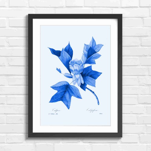 Vintage tulip tree botanical - vintage,