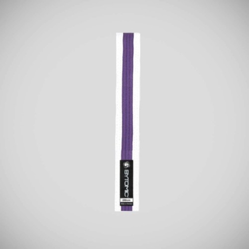 Martial arts belt - martial,