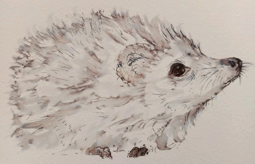 Original small hand - hand, pen