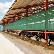 Mesh livestock panels 2 - livestock, [2