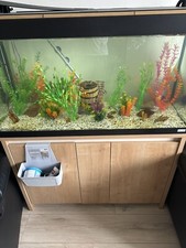 200Litre Fish Tank Cabinet For Sale Offers Accepted