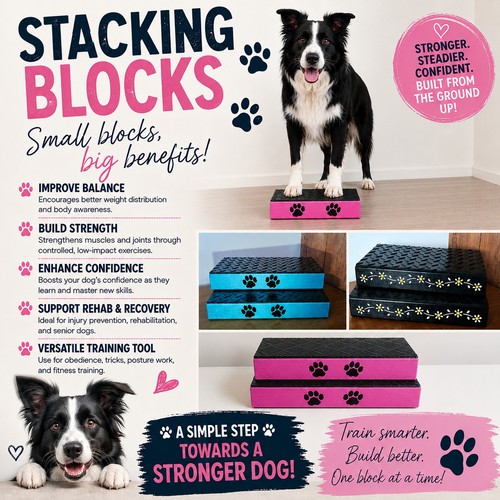 Dog training stacking blocks - dog,