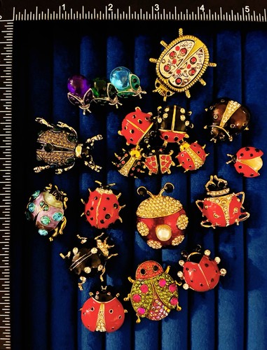 Ladybug beetle brooch pin - ladybug,